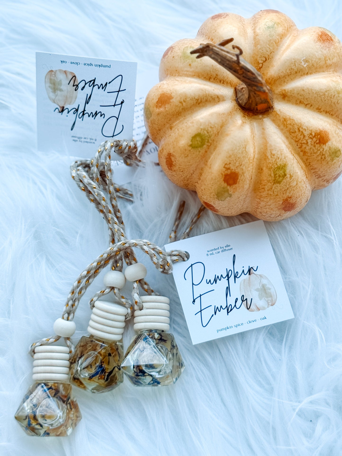 Pumpkin Ember Hanging Car Diffuser